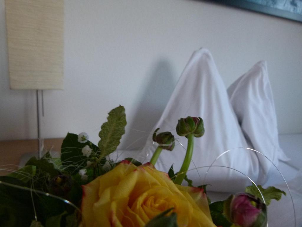 Hotel Fischachstubn Bergheim Cameră foto