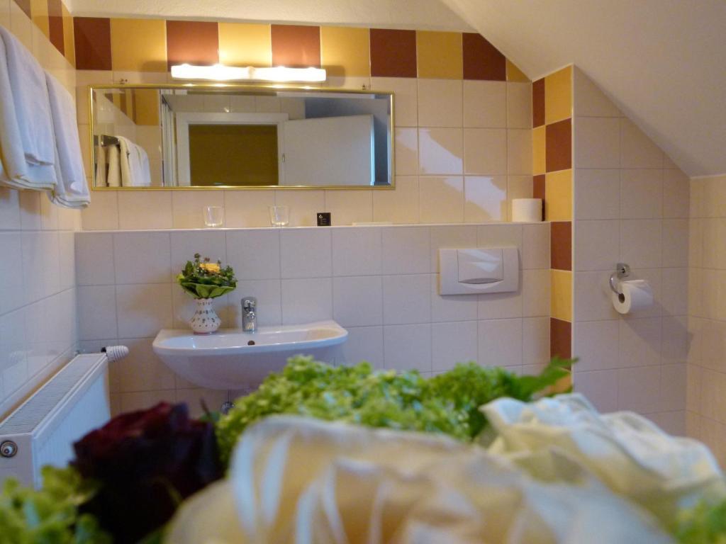 Hotel Fischachstubn Bergheim Cameră foto
